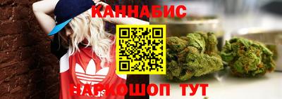 крисы Гусиноозёрск