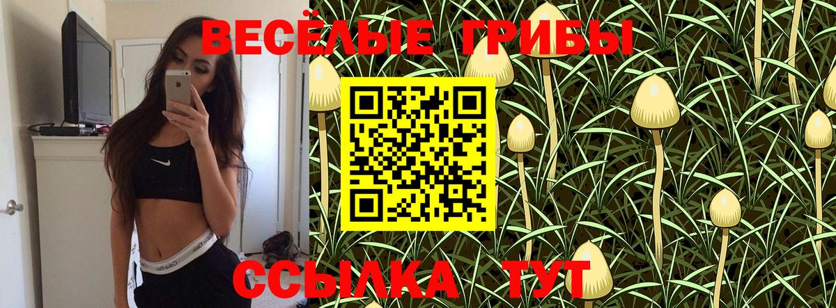 Псилоцибиновые грибы Cubensis Мценск