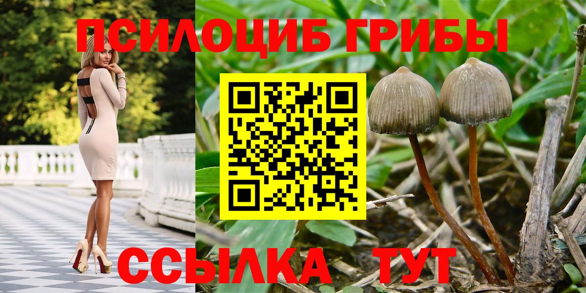 Псилоцибиновые грибы Psilocybine cubensis  Вход с VPN  Мценск 